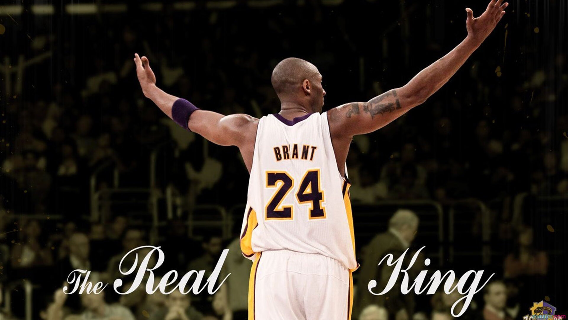 全面解析：哪个战术体系最具杀伤力？，有哪些战术打法