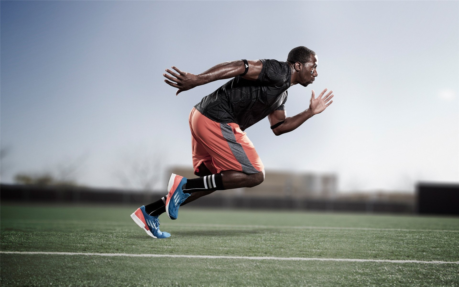 史上最大“黑马队”：逆势夺冠的壮阔篇章，今年最大的黑马